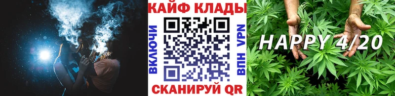 Какие есть наркотики Гатчина ГАШИШ  КОКАИН  hydra ССЫЛКА  Каннабис  Мефедрон  АМФЕТАМИН 