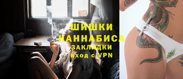 ГАЛЛЮЦИНОГЕННЫЕ ГРИБЫ Арсеньев