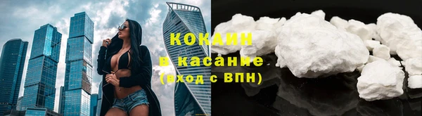 мяу мяу мука Аркадак