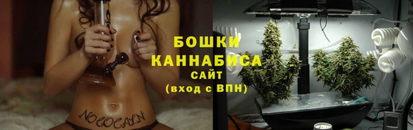 ГАЛЛЮЦИНОГЕННЫЕ ГРИБЫ Арсеньев