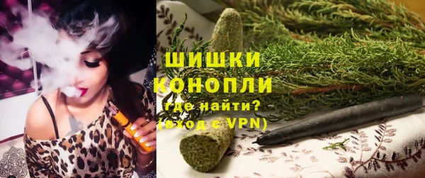 ГАЛЛЮЦИНОГЕННЫЕ ГРИБЫ Арсеньев