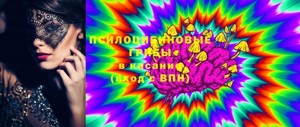 крисы Армянск