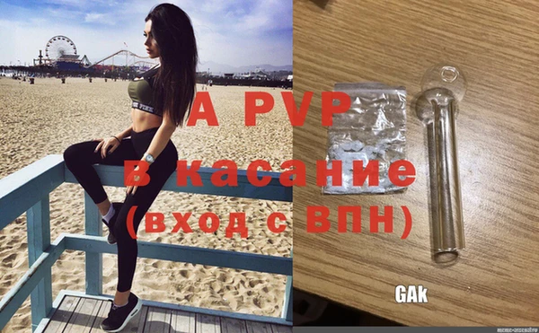 ГАЛЛЮЦИНОГЕННЫЕ ГРИБЫ Арсеньев
