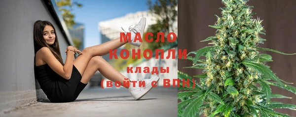 крисы Армянск