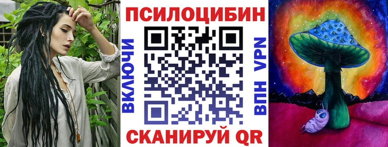blacksprut как войти  Гатчина  Псилоцибиновые грибы ЛСД 